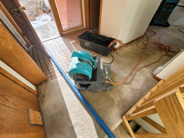 Best Water damage contractors near me  in Northbrook, OH