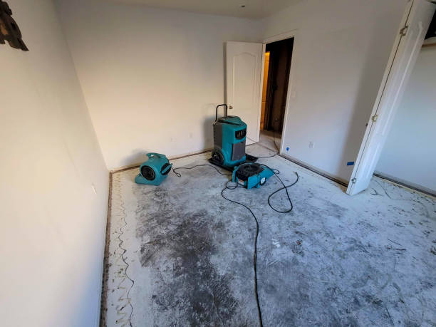 Best Basement water damage restoration  in Northbrook, OH