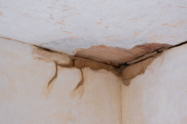 Best Water damage cleanup near me  in Northbrook, OH
