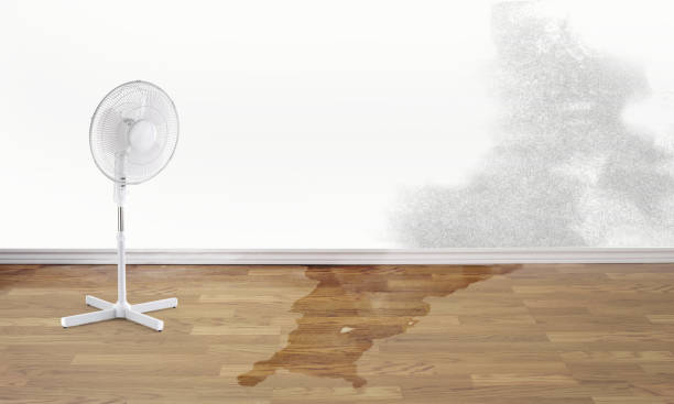  Northbrook, OH Water damage restoration Pros