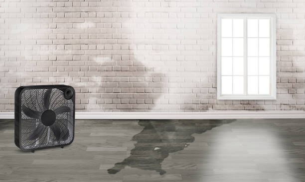 Best Emergency water damage restoration  in Northbrook, OH