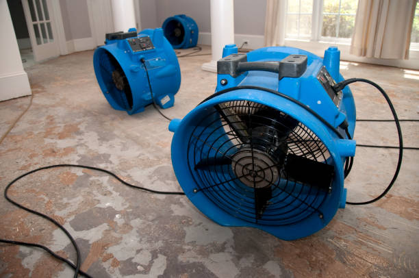 Best Ceiling water damage repair  in Northbrook, OH
