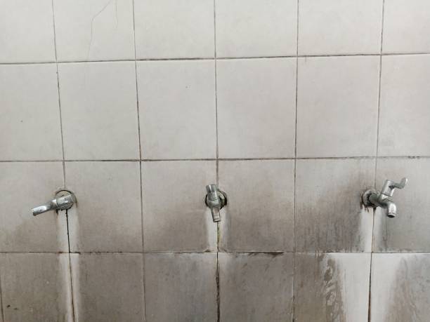 Best Sewage cleanup and water damage restoration  in Northbrook, OH