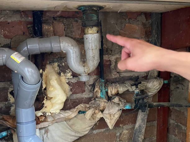 Best Flooded house restoration  in Northbrook, OH